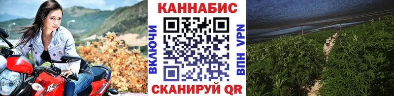 Бошки марихуана Ganja ссылка на мегу ссылки Тогучин где купить наркотик